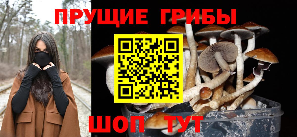 Галлюциногенные грибы мухоморы Кунгур